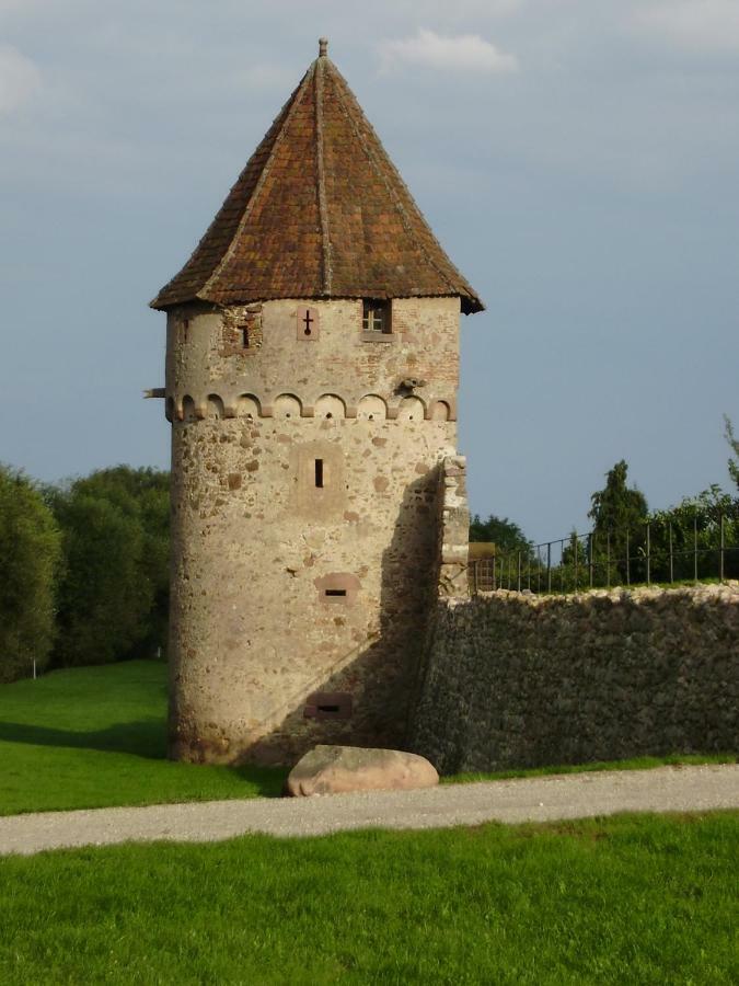 Gite La Maison Bleue Бергхайм Екстериор снимка